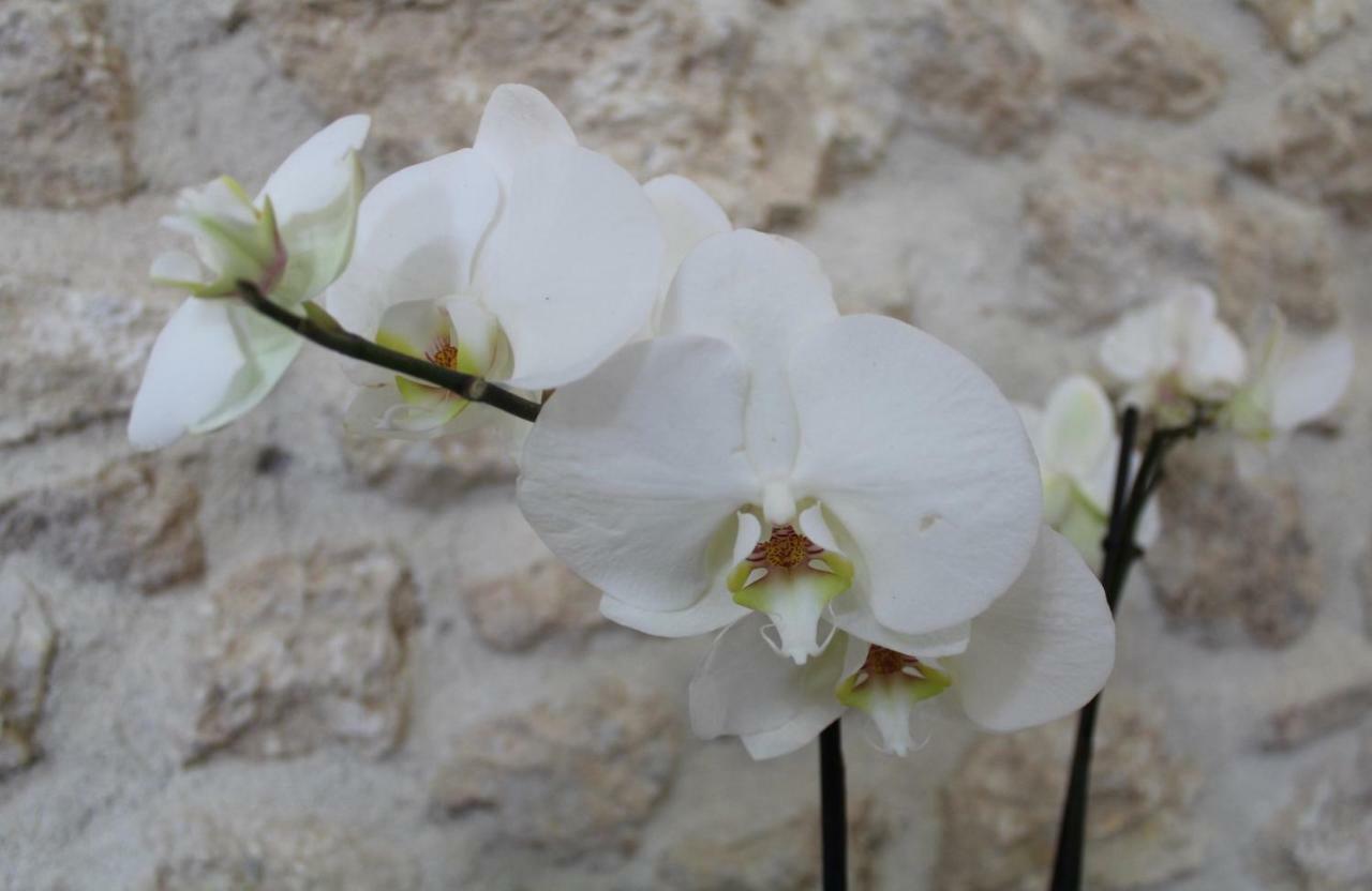 Casa San Giacomo Poggio Bustone 外观 照片